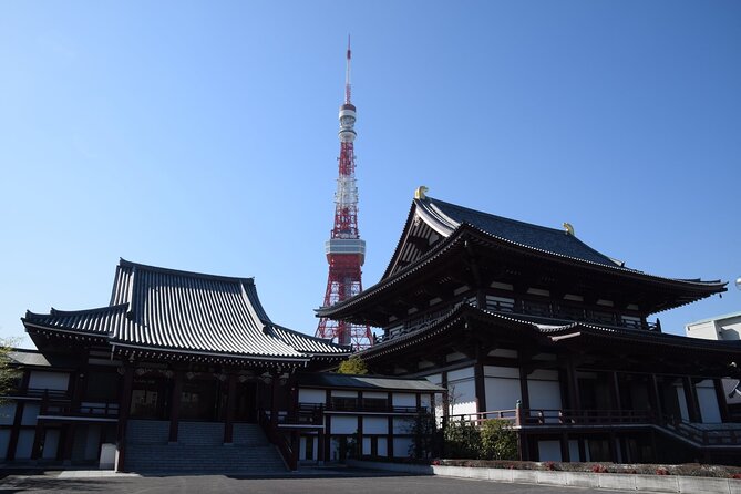 Tokyo City 1-Day Private Tour with Bilingual Driver - Meiji Jingu: a quiet change of pace
