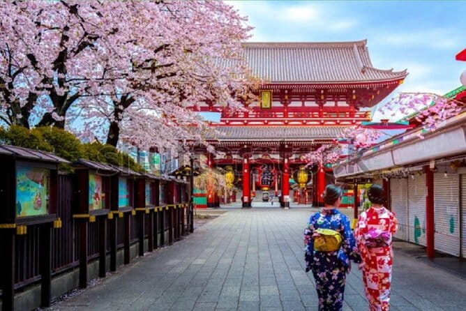 Tokyo City Tour by Private Car & English guide - Key things to know before you book