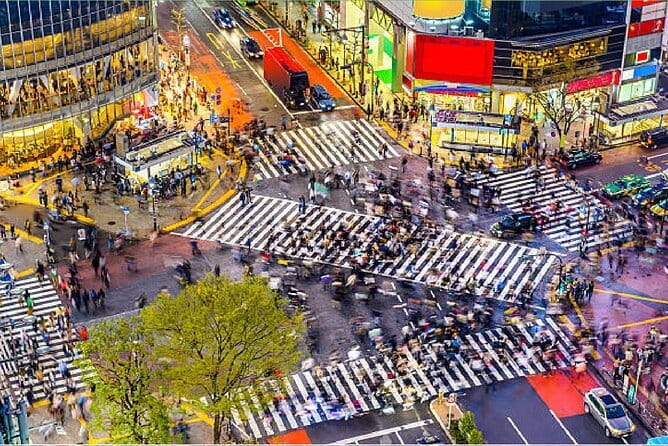 Tokyo City Tour by Private Car & English guide - Optional Imperial Palace gardens or Tokyo Tower
