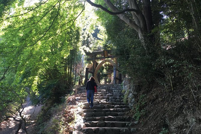 Tokyo Countryside Exploration Private Tour - The Torii Pagoda and the story of Xuanzang