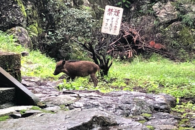 Tokyo Countryside Exploration Private Tour - Is $280.94 per person good value?