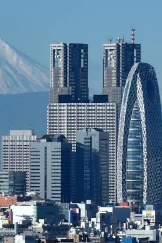 Tokyo: Customizable Private Guided Walking Tour - Quiet lanes, gardens, and places many people miss