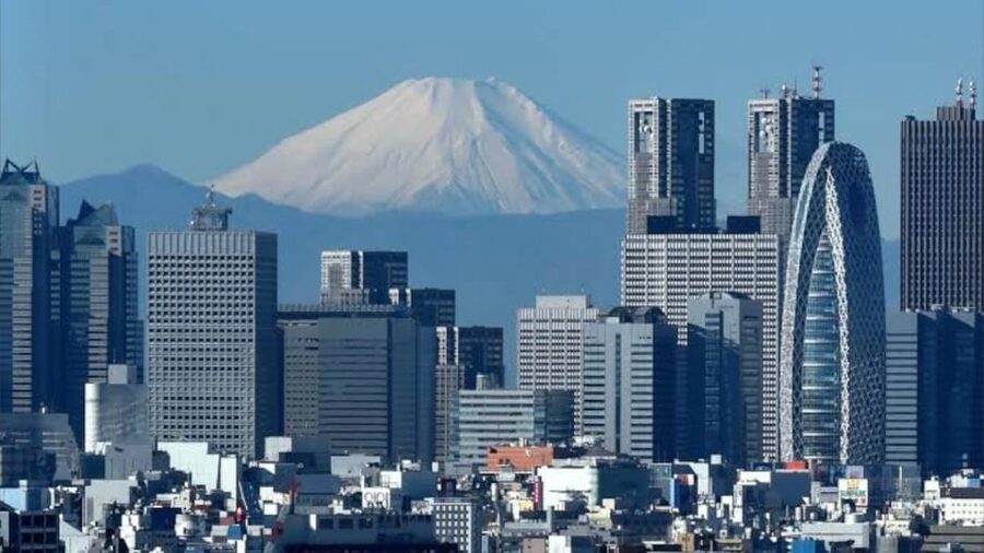 Tokyo: Customizable Private Guided Walking Tour - Shibuya Crossing and Tokyo’s modern pulse