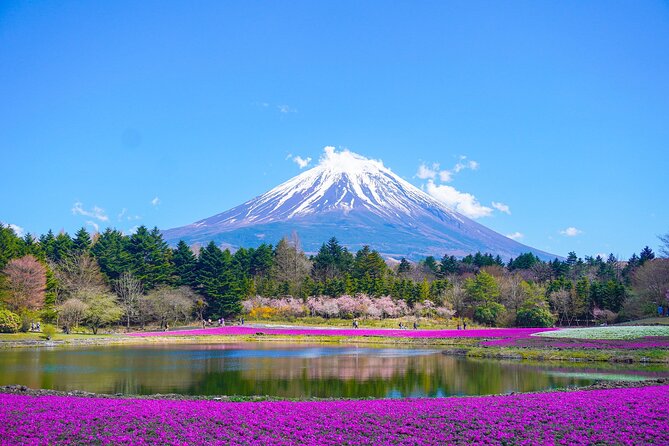 Tokyo: Customized Mt. Fuji & Hakone Sightseeing Private Day Trip - Key points to know before booking