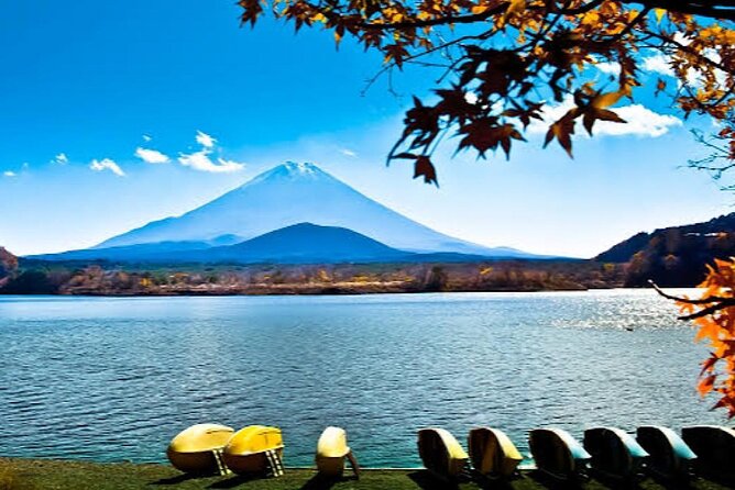 Tokyo: Customized Mt. Fuji & Hakone Sightseeing Private Day Trip - Oshino Hakkai for ponds and old Japan