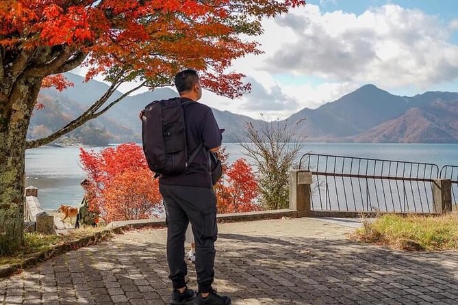 Tokyo: Customized Mt. Fuji & Hakone Sightseeing Private Day Trip - Lake Kawaguchiko, boat rides, and open views