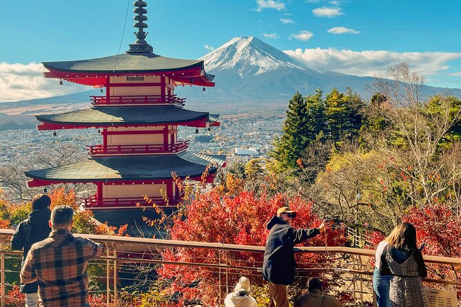 Tokyo: Customized Mt. Fuji & Hakone Sightseeing Private Day Trip - The Panoramic Ropeway and the cost of extras