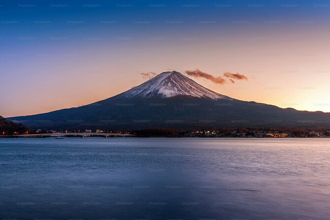 Tokyo: Customized Mt. Fuji & Hakone Sightseeing Private Day Trip - Chureito Pagoda and the famous Fuji view