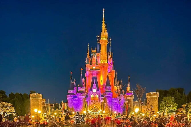 Tokyo Disney Resort Park E-Tickets with Options - The Smartphone Ticket Is Convenient, but Check It