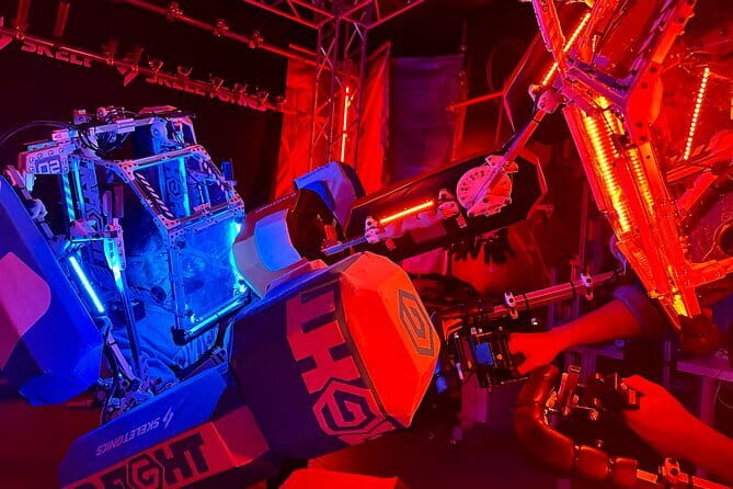 Tokyo Disney Resort Park E-Tickets with Options - Who Will Get the Most From This Ticket?