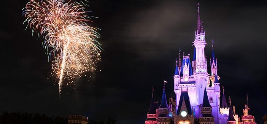 Tokyo Disneyland: 1-Day Entry Ticket and Private Transfer - The Main Drawbacks to Weigh Before Booking