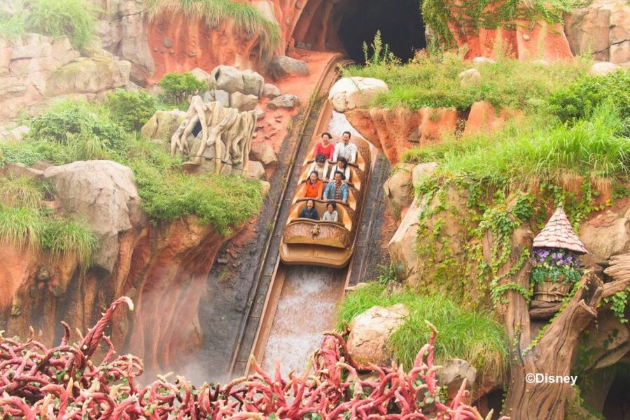 Tokyo Disneyland 1-Day Passport - Food, churros, and the value of eating inside