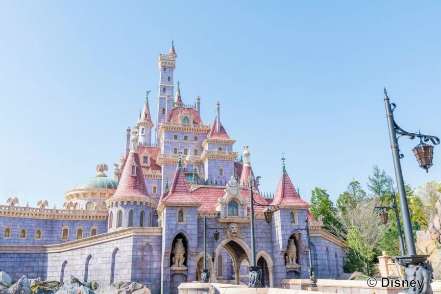 Tokyo Disneyland 1-Day Passport - Access, language, and family considerations
