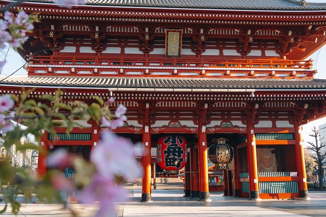 Tokyo Early Morning Tour Asakusa Meiji Shrine (Private Opt) - Four Tokyo icons before the heat sets in