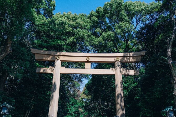Tokyo Early Morning Tour Asakusa Meiji Shrine (Private Opt) - Starting at Asakusa and Sensoji Temple