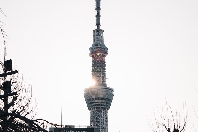 Tokyo Early Morning Tour Asakusa Meiji Shrine (Private Opt) - Shibuya Crossing and the Hachiko finish