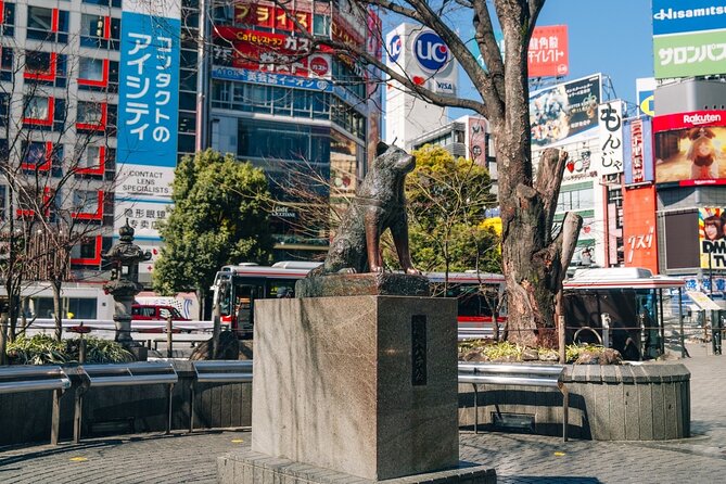 Tokyo Early Morning Tour Asakusa Meiji Shrine (Private Opt) - Timing, transport, and the physical side