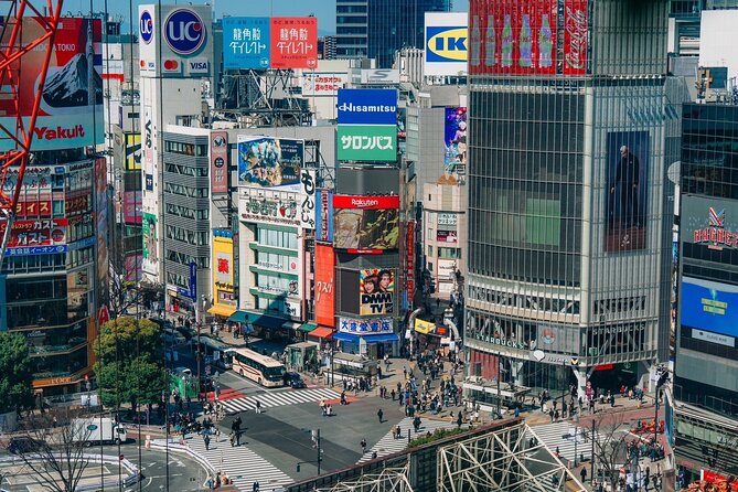 Tokyo Early Morning Tour Asakusa Meiji Shrine (Private Opt) - Who gets the best value from this tour