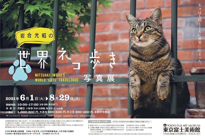 Tokyo Fuji Art Museum Admission Ticket + Special Exhibition (when being held) - Japanese and Eastern art beyond the paintings