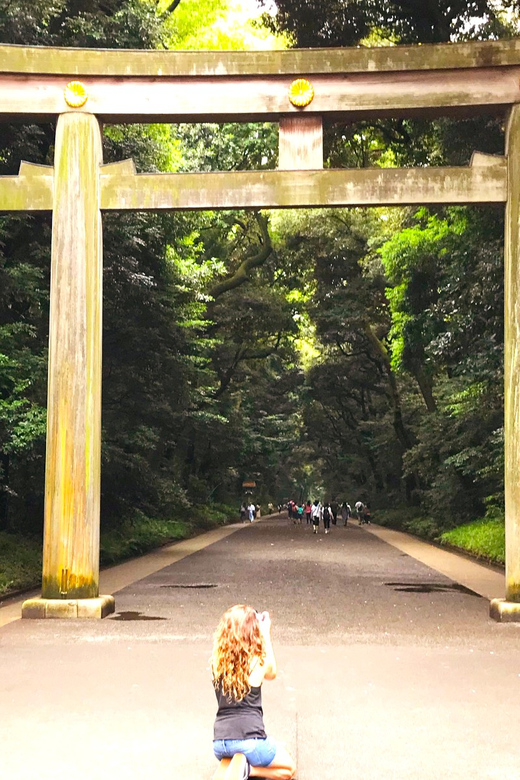 Tokyo: Full Course Tour: Explore 10 Must-Sees & Hidden Gems - The Imperial Palace, Marunouchi, and Tokyo Station