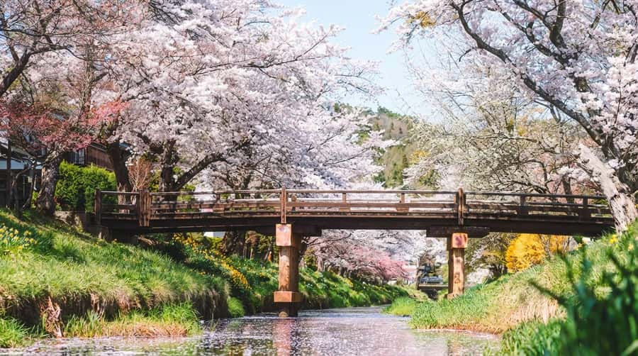 Tokyo: Full-Day Tour of the Six Majestic Spots of Mt Fuji - Food, clothing and other practical details