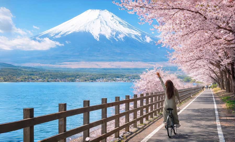 Tokyo: Full-Day Tour of the Six Majestic Spots of Mt Fuji - Higashikawa Clock Shop and the straight road to Fuji