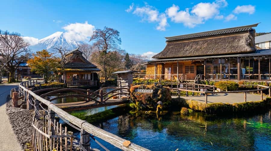 Tokyo: Full-Day Tour of the Six Majestic Spots of Mt Fuji - Oshino Hakkai, clear springs and a traditional village