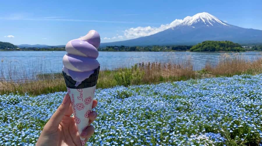 Tokyo: Full-Day Tour of the Six Majestic Spots of Mt Fuji - Oishi Park and Lake Kawaguchi’s changing colors