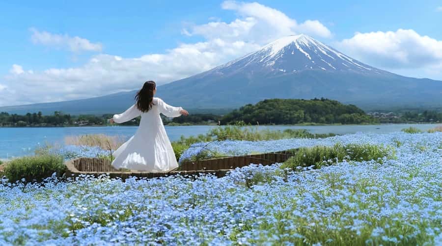 Tokyo: Full-Day Tour of the Six Majestic Spots of Mt Fuji - What the guides add to the day