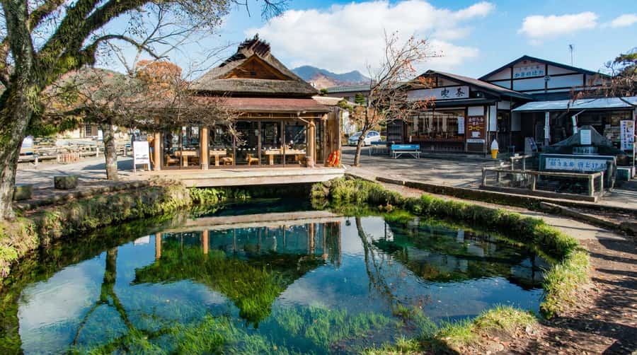 Tokyo: Full-Day Tour of the Six Majestic Spots of Mt Fuji - Transport, timing and the realities of a full day