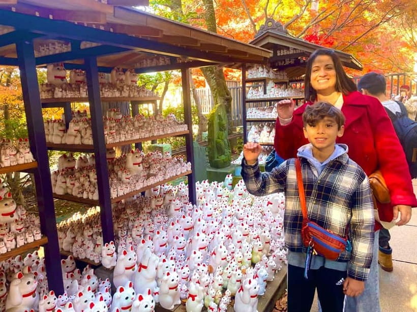 Tokyo: Gotokuji Cat Temple, Shinjuku Cat Cafe & 3D Cat Tour - Why this cat tour works in a city as big as Tokyo