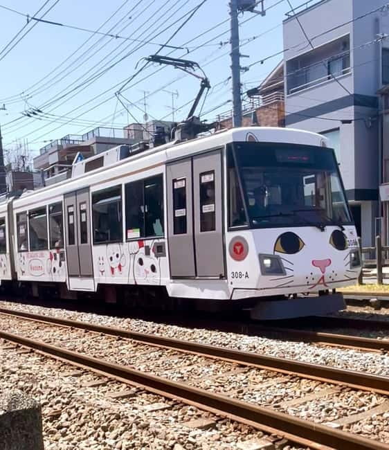 Tokyo: Gotokuji Cat Temple, Shinjuku Cat Cafe & 3D Cat Tour - Gotokuji Shopping Street brings the cat theme down to earth