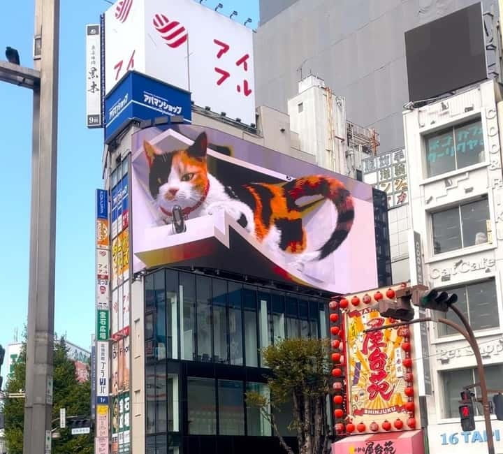 Tokyo: Gotokuji Cat Temple, Shinjuku Cat Cafe & 3D Cat Tour - Who should book this 150-minute experience?
