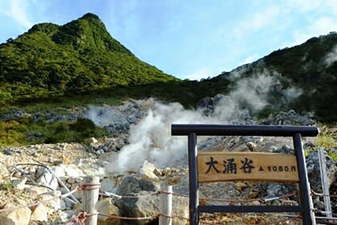 Tokyo: Hakone Fuji Day Tour w/ Cruise, Cable Car, Volcano - Lake Ashi and the pirate boat