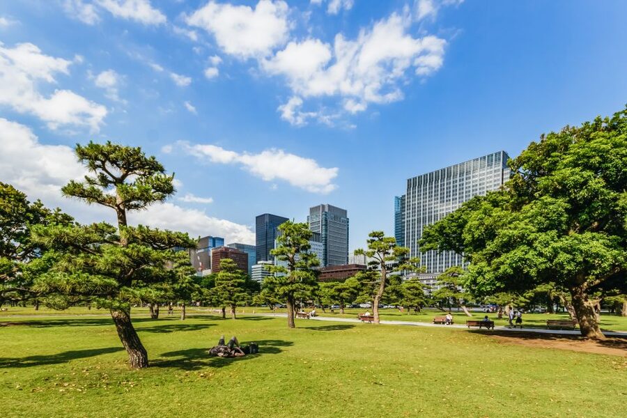 Tokyo: Hop-On Hop-Off Sightseeing Bus Ticket - The audio guide and what to bring