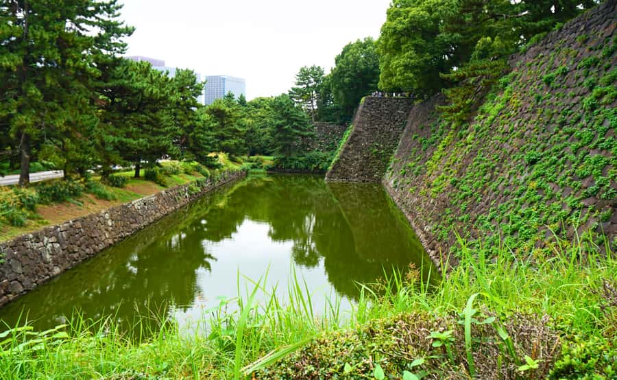 Tokyo: Imperial Palace Japanese History Walking Tour - Royal Koi and the More Relaxed End of the Walk