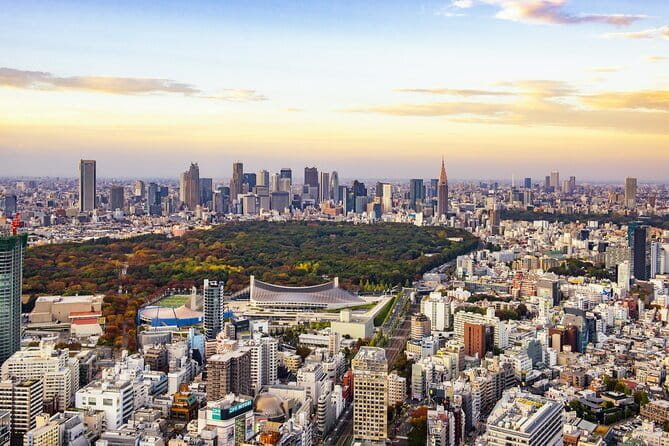 【Tokyo】JDM Daikoku Parking Area & Nissan Facility Tour - Who should take this Yokohama car tour?