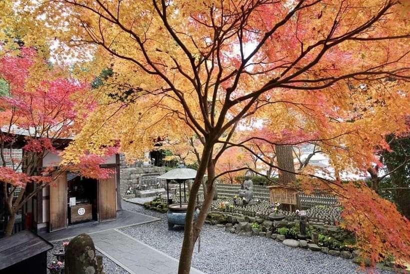 Tokyo: Kamakura & Enoshima Day Trip including Temple Tickets - Key points at a glance