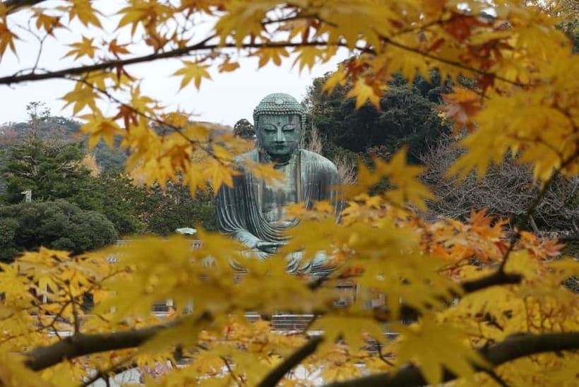 Tokyo: Kamakura & Enoshima Day Trip including Temple Tickets - Is $58 a good price?