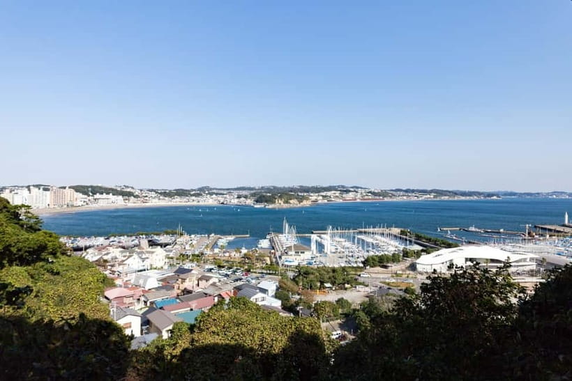 Tokyo: Kamakura & Enoshima Day Trip including Temple Tickets - Hasedera’s flowers, views, and Kannon statue