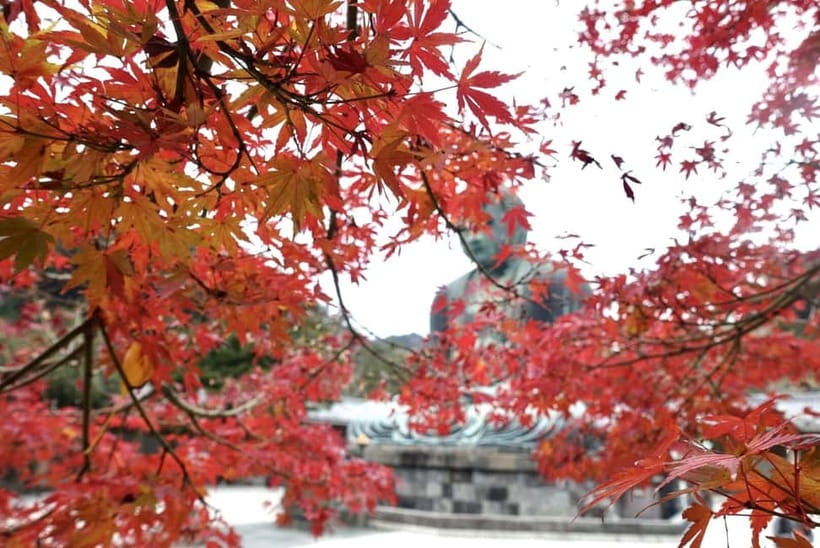 Tokyo: Kamakura & Enoshima Day Trip including Temple Tickets - How the guided format works