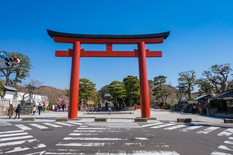 Tokyo: Kamakura & Enoshima Day Trip including Temple Tickets - Transport, timing, and comfort