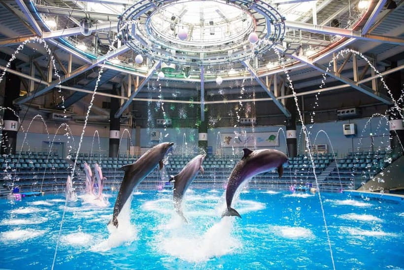 Tokyo: Maxell Aqua Park Shinagawa Direct Entry Ticket - An aquarium built for Tokyo’s fast pace