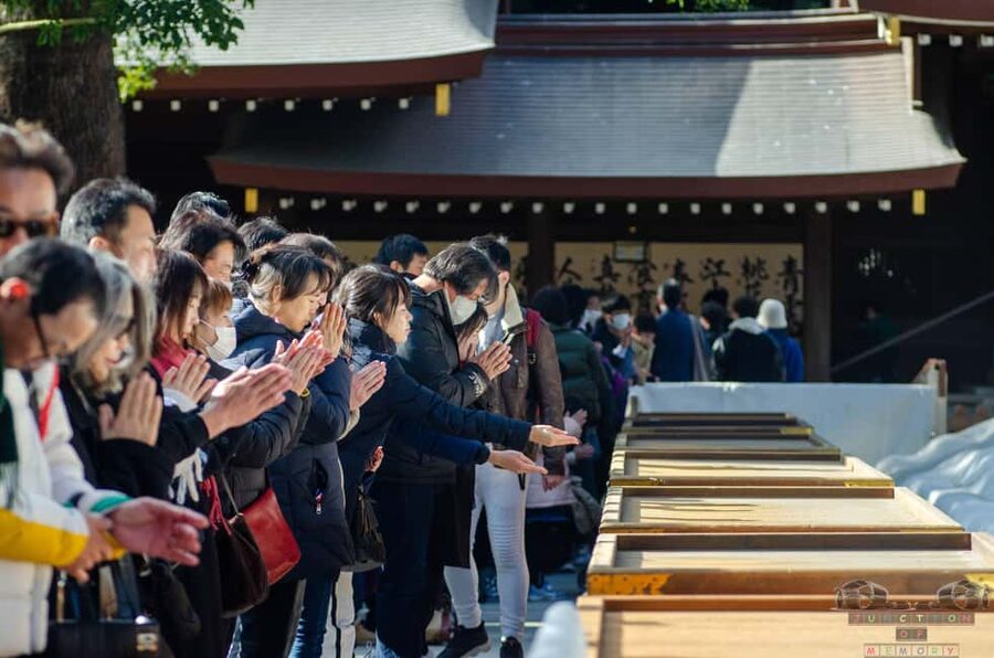 Tokyo: Meiji Jingu, Harajuku, Shibuya, and Shijuku Tour - Optional animal and snake cafes