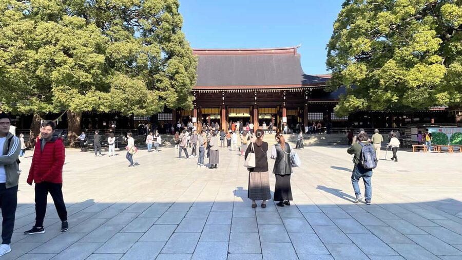 Tokyo: Meiji Jingu, Harajuku, Shibuya, and Shijuku Tour - A smart first look at western Tokyo