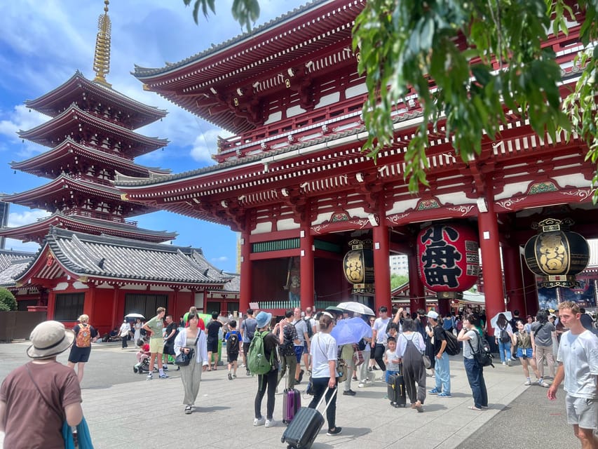 Tokyo: Meiji Jingu Shrine and Shinto Culture Walking Tour - Key points at a glance