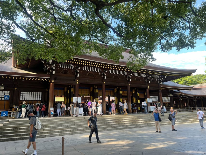 Tokyo: Meiji Jingu Shrine and Shinto Culture Walking Tour - The sacred forest of 100,000 trees