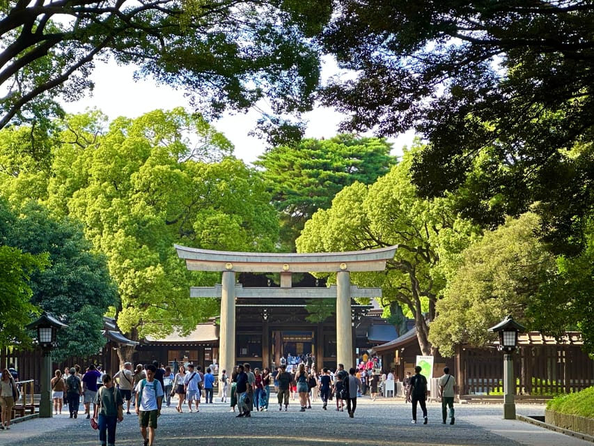Tokyo: Meiji Jingu Shrine and Shinto Culture Walking Tour - The consecrated wine barrels
