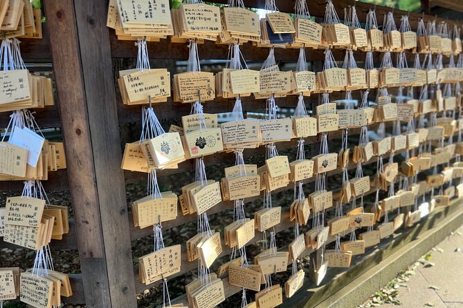 Tokyo: Meiji Shrine and Shinto Culture Walking Tour - Is $18 a fair price?