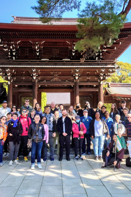 Tokyo: Meiji Shrine, Asakusa, Skytree Bus Tour and Cruise - Odaiba and the Tokyo Bay cruise